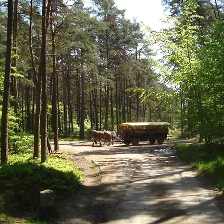 Holiday Crane's Nest Tatil Evi Fuhlendorf (Mecklenburg-Vorpommern)