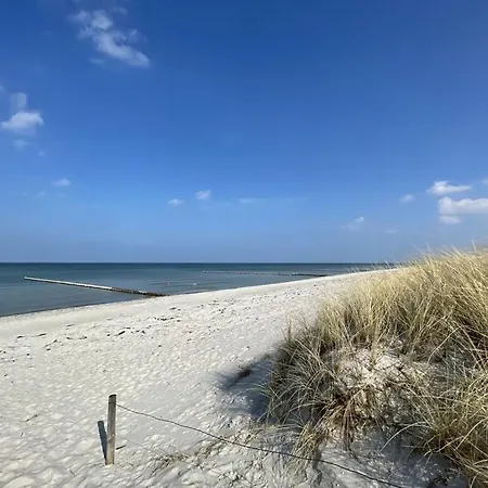 Holiday Crane's Nest